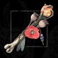 Balewort