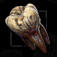 Painted Tooth