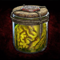 Parasite